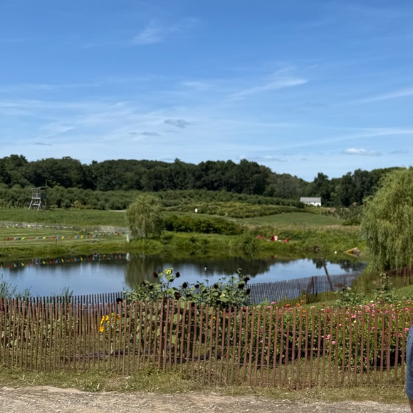 Meet your Posher, Tory - Picture 1 of 1